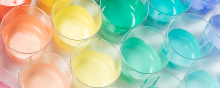 Paint Cups & Spray Cans