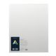 primed 16 x 20 inch canvas panels made by Art Alternatives