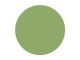 Pitt Art Pen Permanent Olive Green