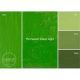 Gamblin 1980 Oil Color 150ml Permanent Green Light