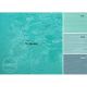 Gamblin 1980 Oil Color 150ml Turquoise