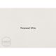 Gamblin 1980 Oil Color 150ml Transparent White