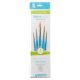 Princeton Value Brush Set #10