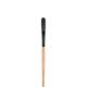 Princeton Catalyst Polytip Brush Egbert 12 Long Handle