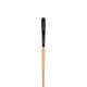 Princeton Catalyst Polytip Brush Egbert 6 Long Handle