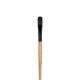 Princeton Catalyst Polytip Brush Filbert 16 Long Handle