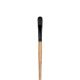 Princeton Catalyst Polytip Brush Filbert 8 Long Handle
