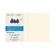 Strathmore Creative Cards Ivory with Deckle 100 Pack