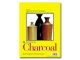 Strathmore Charcoal Pad Spiral 11x17
