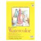 Strathmore 300 Watercolor Pad 11x15 Spiralbound