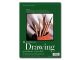 Strathmore Recycled Drawing Pad9x12