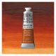 Winsor Newton Winton Oil Color Burnt Sienna 37ml