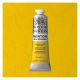 Winsor Newton Winton Oil Color Cadmium Yellow Pale Hue 37ml