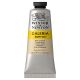 Winsor Newton Galeria Acrylic Buff Titanium 60ml