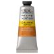 Winsor Newton Galeria Acrylic Burnt Sienna 60ml