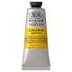 Winsor Newton Galeria Acrylic Cadmium Yellow Deep 60ml