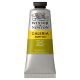 Winsor Newton Galeria Acrylic Green Gold 60ml