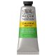 Winsor Newton Galeria Acrylic Permanent Green Light 60ml