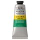 Winsor Newton Galeria Acrylic Permanent Green Medium 60ml