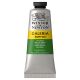 Winsor Newton Galeria Acrylic Sap Green 60ml