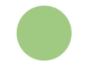 Pitt Art Pen Leaf Green