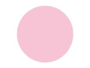 Pitt Art Pen Pink Madder Lake