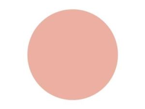 Pitt Art Pen Medium Flesh