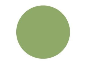 Pitt Art Pen Permanent Olive Green