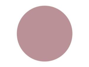 Pitt Art Pen Caput Mortuum