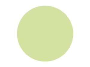 Pitt Art Pen Light Green