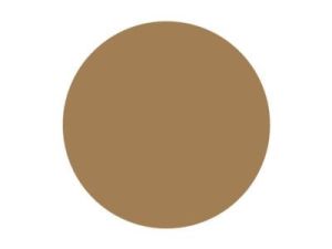 Pitt Art Pen Raw Umber