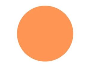 Pitt Art Pen Terracotta