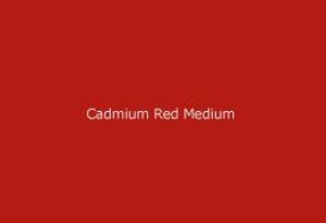 Gamblin Dry Pigment Cadmium Red Medium 4oz ⚠️
