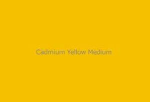 Gamblin Dry Pigment Cadmium Yellow Medium 4oz ⚠️