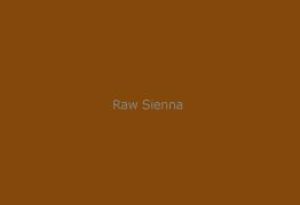 Gamblin Dry Pigment Raw Sienna 4oz ⚠️