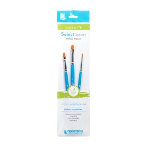 Princeton Value Brush Set #4