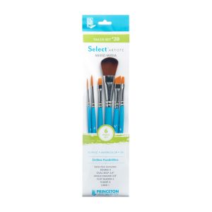 Princeton Value Brush Set #20
