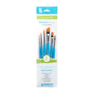Princeton Value Brush Set #22