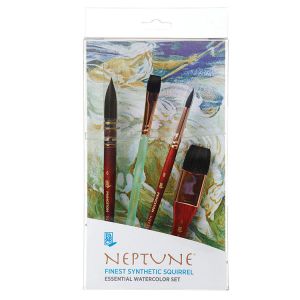 Princeton 4750 Neptune Brush Professional Box Set