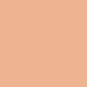 PC1085 Prismacolor Premier Colored Pencil Peach Beige